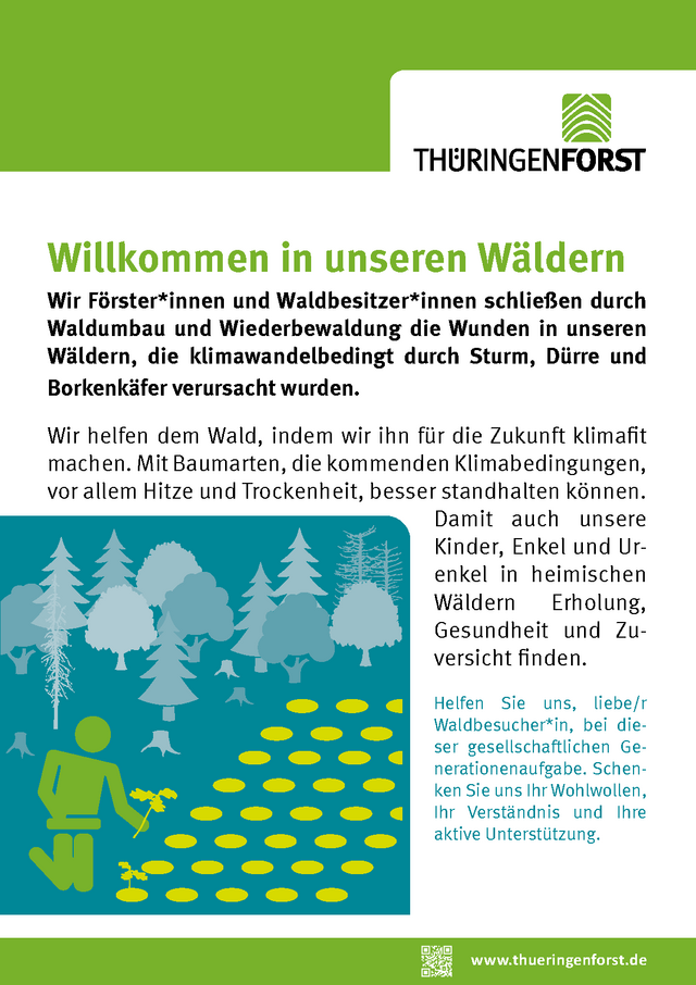Eine Informationstafel mit Text und einer Grafik zum Thema Wiederbewaldung.