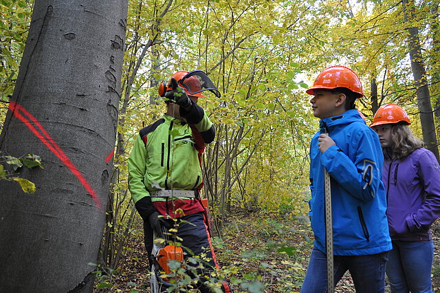 Ein Waldarbeiter steht in seiner Ausrüstung vor einem Markiertem Baum und erklärt den Besuchern etwas.
