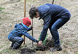 Linkziel: Link zum Beitrag mit dem Thema Frühjahrsaufforstung 2022: Helfende Hände willkommen; Bildinhalt: Eine junge Frau und ein kleiner Junge pflanzen auf einer Grasfläche ein Bäumchen ein