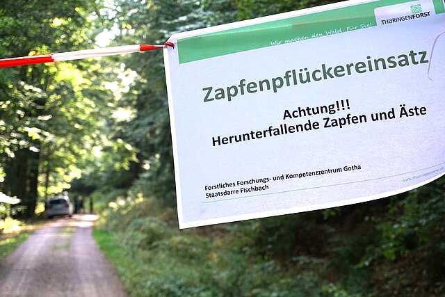 Ein Schild an einer Wegeabsperrung mit dem Hinweis auf Zapfenpflückereinsatz.