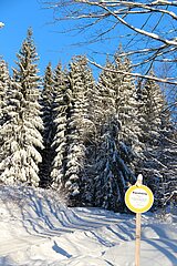 Linkziel: Link zum Beitrag mit dem Thema Aufgepasst: Rutsch- und Glättegefahr auch im Wald; Bildinhalt: Ein verschneiter Waldweg bei Sonnenschein.
