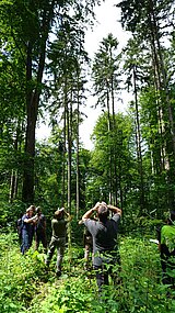 Linkziel: Link zum Beitrag mit dem Thema Waldzustandsexperten aus ganz Deutschland zu Gast ; Bildinhalt: Inventurleiter aus den Bundesländern werden im Wald zur einheitlichen Bestandsaufnahme geschult.