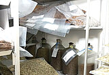 Lager mit Regalen, in denen Tüten, Säcke und Glasbehälter mit Saatgut lagern