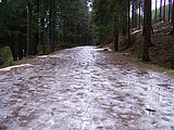 Linkziel: Link zum Beitrag mit dem Thema Aufgepasst: Rutsch- und Glättegefahr auch im Wald; Bildinhalt: Ein Waldweg mit Eis überzogen