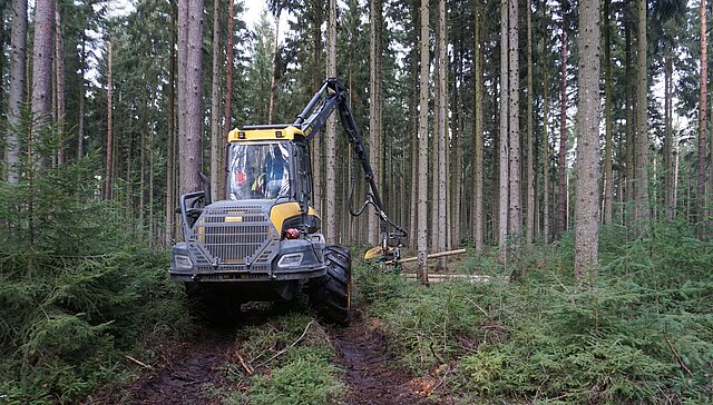 Eine Forstmaschine im Wald bei der Holzentnahme.