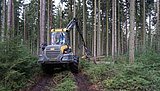 Linkziel: Link zum Beitrag mit dem Thema Hilft Durchforsten dem Wald im Klimawandel?; Bildinhalt: Eine Forstmaschine im Wald bei der Holzentnahme.