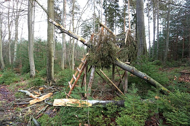 Ein durch Sturm abgebrochener Baum, der einen Hochsitz im Wald abgerissen hat.