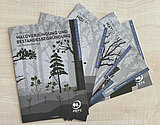 Linkziel: Link zum Beitrag mit dem Thema Waldzertifizierung leicht gemacht!; Bildinhalt: 5 Faltblätter des PEFC mit einer silhouettenhaft dargestellten Waldlandschaft auf dem Titelbild