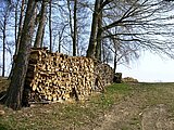 Linkziel: Link zum Beitrag mit dem Thema Günstiges Brennholz für den Kamin: So geht´s!; Bildinhalt: Geschnittenes Holz zwischen zwei Bäumen am Waldrand zum trocknen gestapelt.