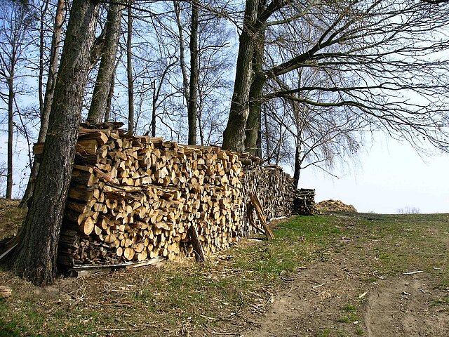 Geschnittenes Holz zwischen zwei Bäumen am Waldrand zum trocknen gestapelt.