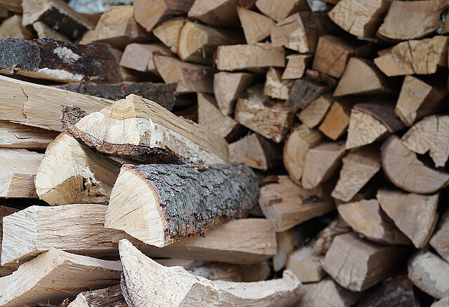 Blick auf einen Brennholzstapel, davor liegen einzelne Holzscheite