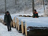 Linkziel: Link zum Beitrag mit dem Thema Laub- und Nadelholzsubmission; Bildinhalt: Schneebedeckte Baumstämme liegen in einer Reihe