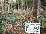 Linkziel: Link zum Beitrag mit dem Thema PEFC-Hauptstadt für 2024 gesucht!; Bildinhalt: Das Bild zeigt ein Schild im Wald, dass das PEFC Logo trägt.