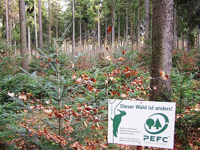 Das Bild zeigt ein Schild im Wald, dass das PEFC Logo trägt.