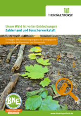 Linkziel: Link zum Beitrag mit dem Thema Unser Wald Zahlenland und Forscherwerkstatt; Bildinhalt: Download der Fortbildung als PDF