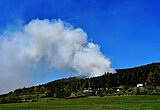 Linkziel: Link zum Beitrag mit dem Thema ThüringenForst meldet Rekord-Waldbrandfläche ; Bildinhalt: dichte, weiße Rauchwolke über einem Waldgebiet im Sommer