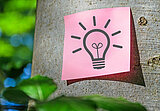 Linkziel: Link zum Beitrag mit dem Thema Organisierte Sportveranstaltungen im Wald; Bildinhalt: Bild eines rosafarbenen Notizzettels mit gezeichneter Glühbirne an einem Baumstamm