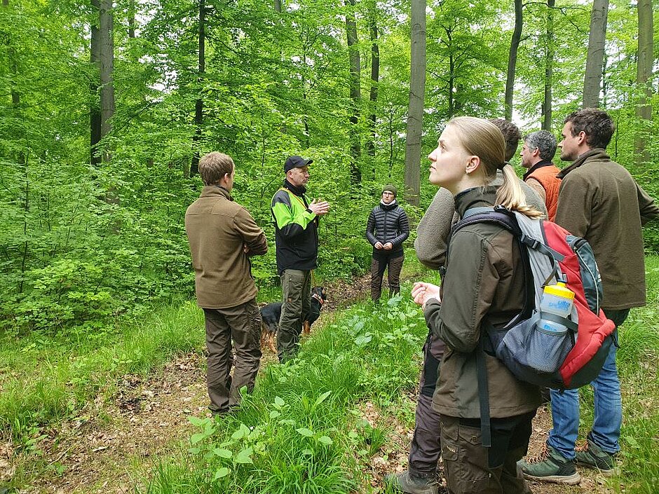 Eine Gruppe aus Studenten stehen in einem Buchenwald und hören dem Revierförster zu.