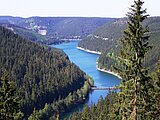Linkziel: Link zum Beitrag mit dem Thema Klimawandel und Wald: Auch Forstwege betroffen ; Bildinhalt: Blick auf die Talsperre mit Nadelwald rundherum.