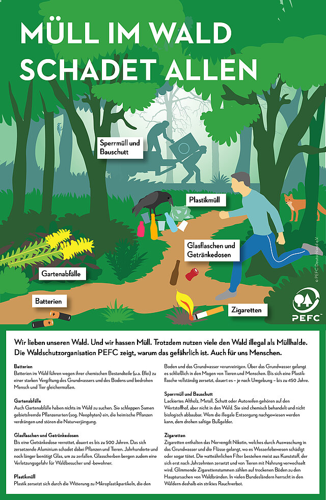Eine Infografik mit verschiedenen Beispielen Müll im Wald, wie Zigaretten, Sperrmüll und Restmüll.