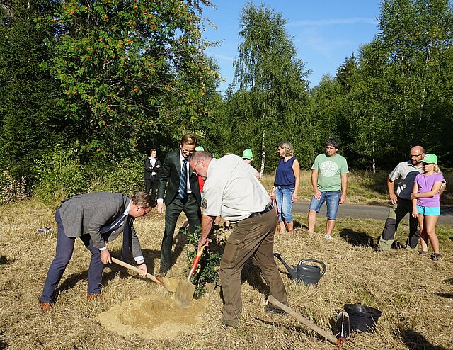 Ministerpräsident Bodo Ramelow, Marc Fielmann und einige Personen pflanzen bei gutem Wetter Bäume im Wald