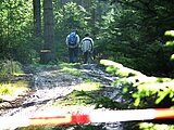 Linkziel: Link zum Beitrag mit dem Thema Waldwegesperrungen beachten: Lebensgefahr!; Bildinhalt: Zwei Wanderer laufen hinter einer Wegsperrung entlang.