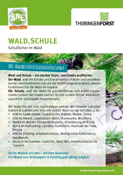 Download der Waldschule als PDF