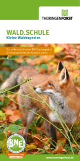 Linkziel: Link zum Beitrag mit dem Thema WALD.SCHULE Kleine Waldexperten; Bildinhalt: Download kleine Waldexperten Flyer PDF