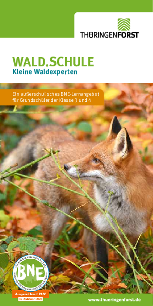 Download kleine Waldexperten Flyer PDF