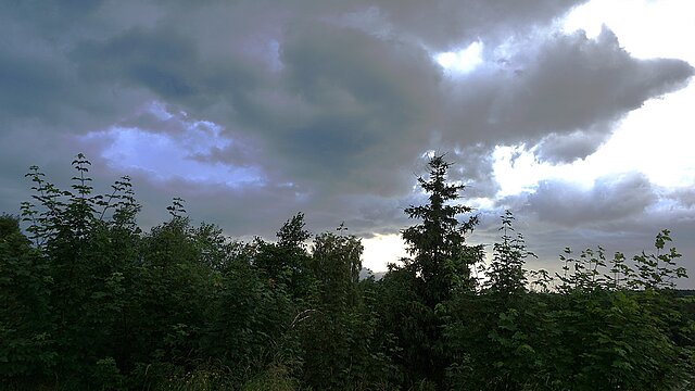 Dunkle Wolken verdunkeln ein Waldstück - es sieht nach Regen aus.