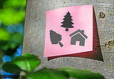 Notizzettel mit Grafiken von Bäumen und einem Haus, der an einem Baum klebt