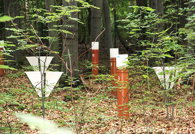 Bild auf eine Messvorrichtung im Wald mit trichterförmigen Auffangbehältnissen