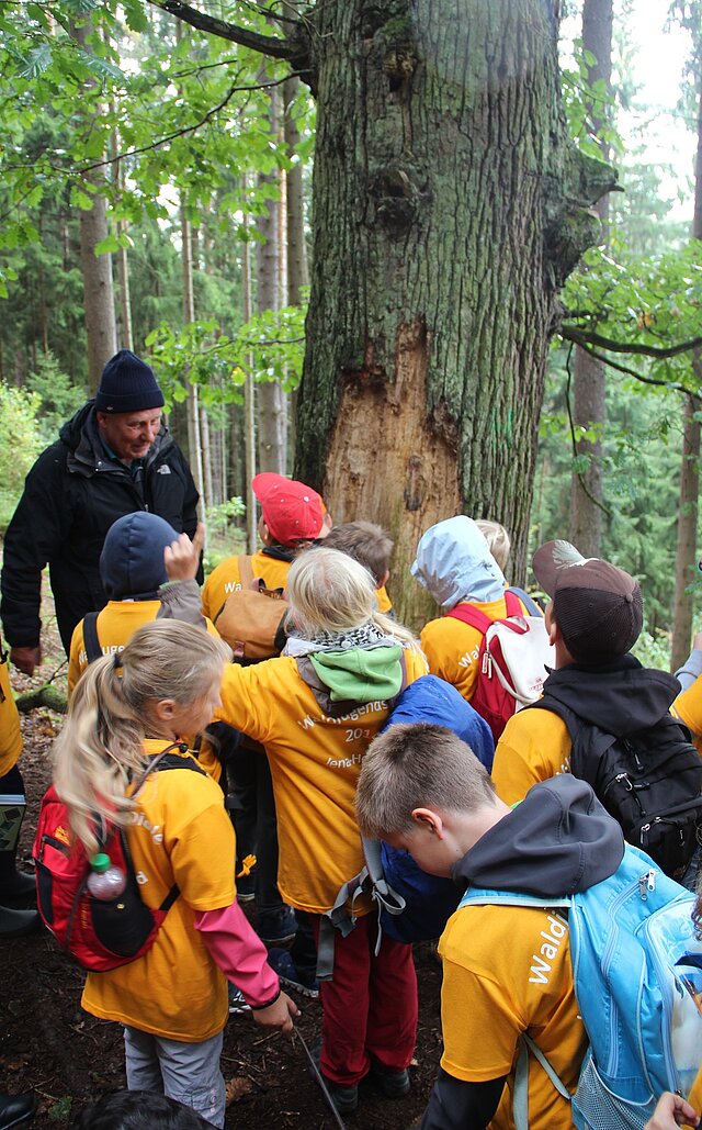 Eine Gruppe Schulkinder ist mit einem Förster im Wald unterwegs.
